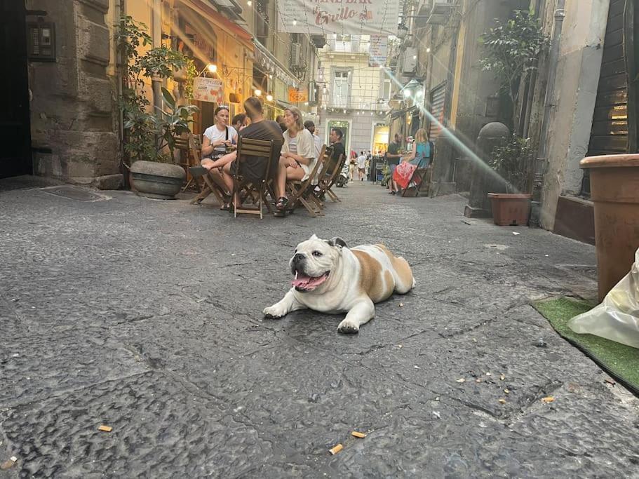 Apartmán La Casa Di Sarah Aspetta Voi Neapol Exteriér fotografie